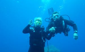 Top Diving Puerto Rico