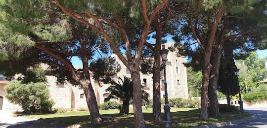 Castell de Vilafortuny