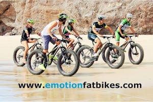 Emotion Fat Bikes