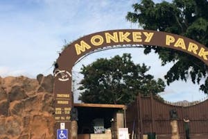 The Monkey Park