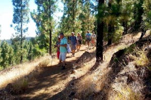 Trekking & Hiking (Royal Path) + Los Gigantes by Boat