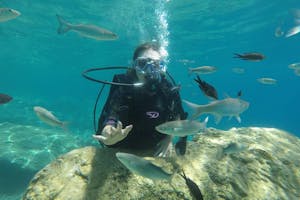 Scuba Diving Marmaris