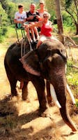 1 hour Elephant Trekking - Program Eco 1B