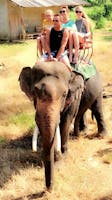 Elephant trekking and Nature Walk - Program 2