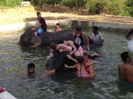 Elephant School Program Eco 6