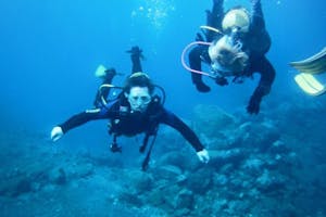 Diving With Teide Divers